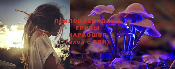 ALPHA PVP Надым