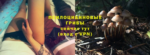 ALPHA PVP Надым