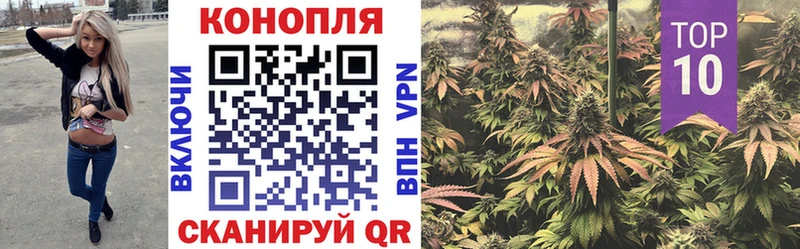 Купить где  Мещовск  Шишки марихуана тримм 